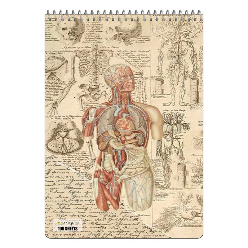 دفتر شطرنجی 100 برگ کارنیکا طرح زیست شناسی Biology کد 44138