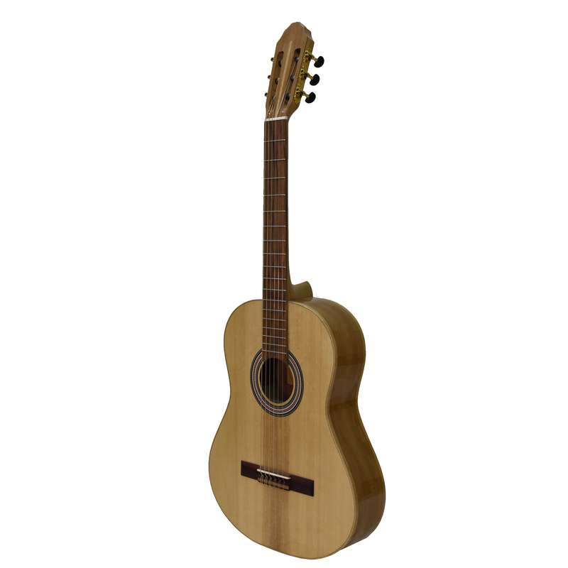 گیتار مدل S1sy-FL