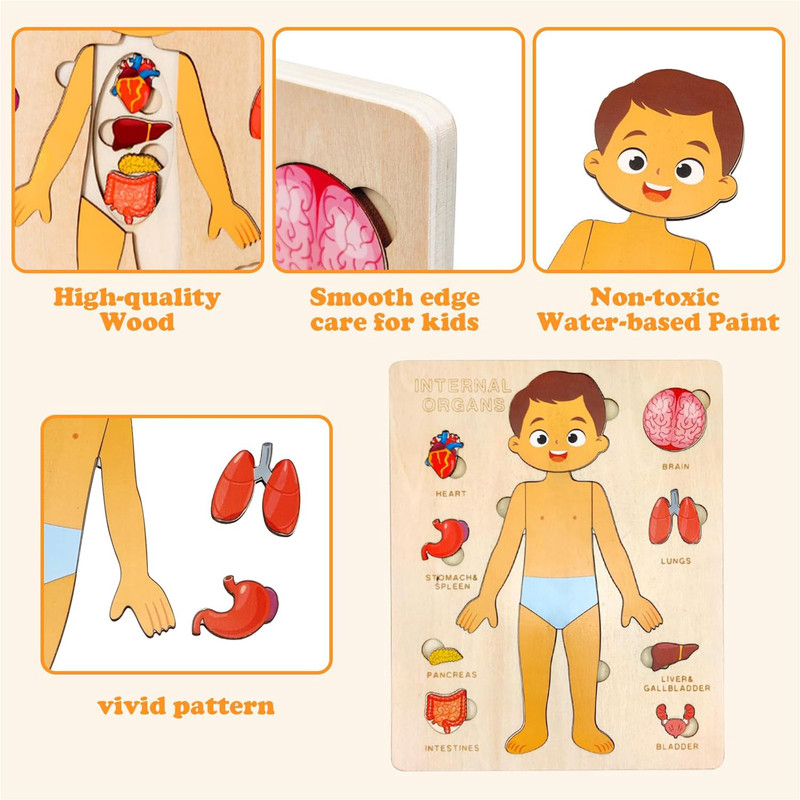 بازی آموزشی سمید مدل جورچین چوبی اعضای بدن انسان کد 1000