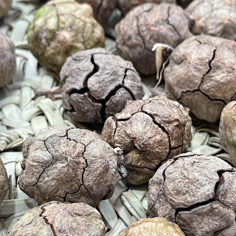 میوه تزیینی مدل کاج بسته 36 عددی