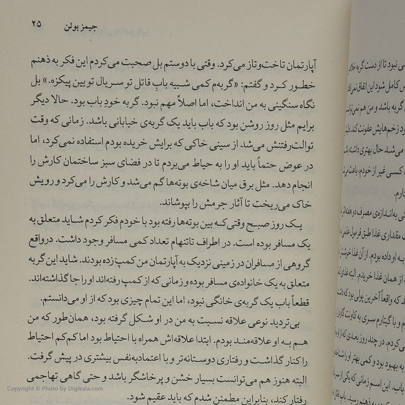 کتاب گربه ای خیابانی به اسم بابا اثر جمیز بوئن نشر دیوار کتاب گربه ای خیابانی به اسم بابا اثر جمیز بوئن نشر دیوار