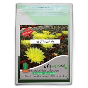 بذر لوبی ویا گل زرد کاکتوسچی مدل AM-012