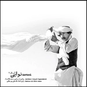 آلبوم موسیقی نوایی آن دگر 2 اثر جمعی از هنرمندان