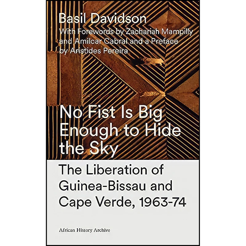 کتاب No Fist Is Big Enough to Hide the Sky اثر جمعي از نويسندگان انتشارات Zed Books