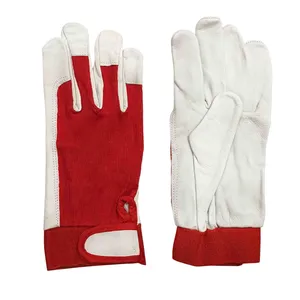 دستکش ایمنی مدل PR011-X large