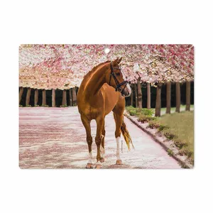 MAHOOT Horse-1 Cover Sticker for Lenovo Miix 320 2017