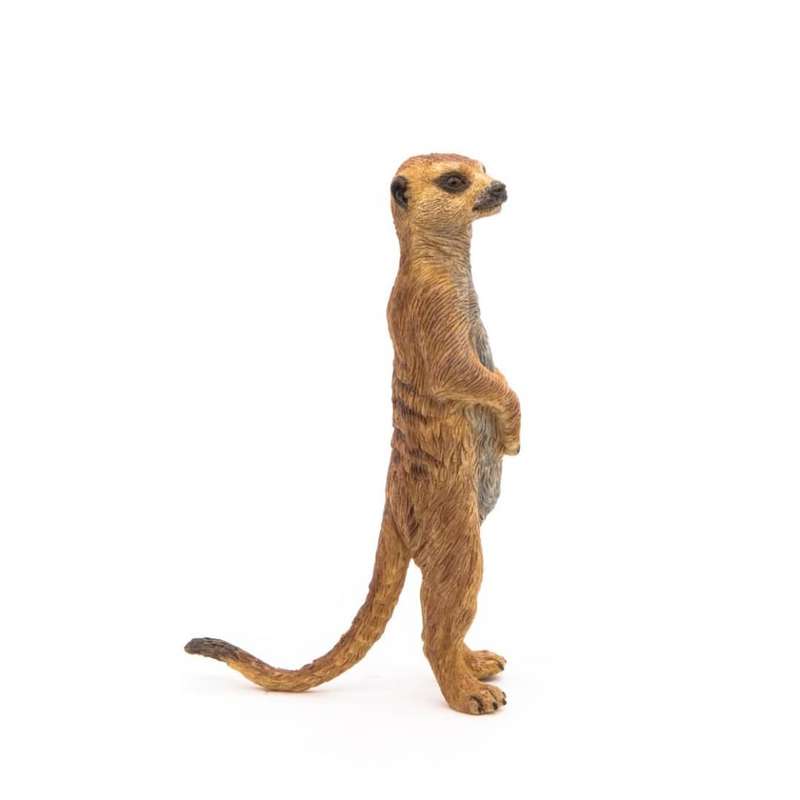 فیگور پاپو مدل میرکت ایستاده کد 50206