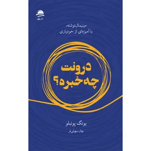 کتاب درونت چه‌خبره اثر یونگ پوئبلو نشر داهی