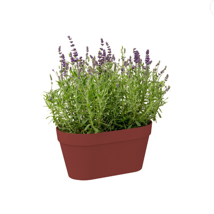 گلدان مدل GRW29بسته سه عددی گلدان مدل GRW29بسته سه عددی