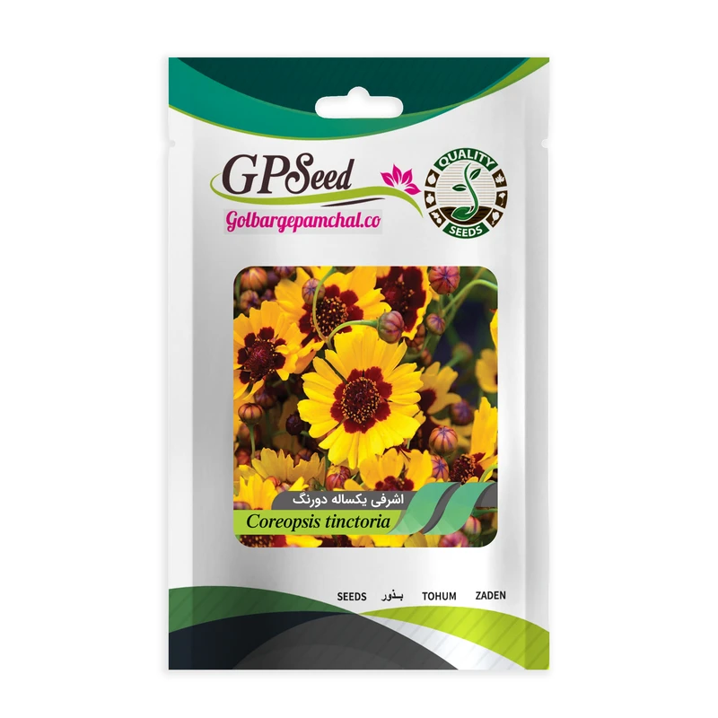 بذر گل اشرفی یکساله دو رنگ گلبرگ پامچال کد GPF-016