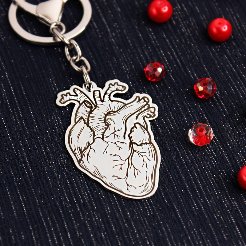 جاکلیدی گلسو مدل قلب آناتومی