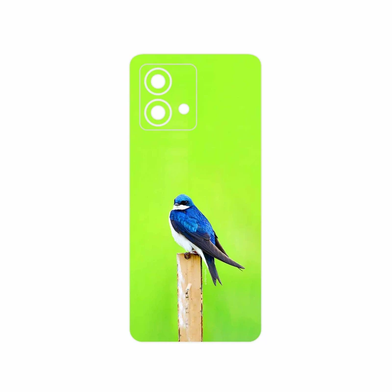 برچسب پوششی ماهوت مدل Bird Swallow مناسب برای گوشی موبایل موتورولا Moto G84