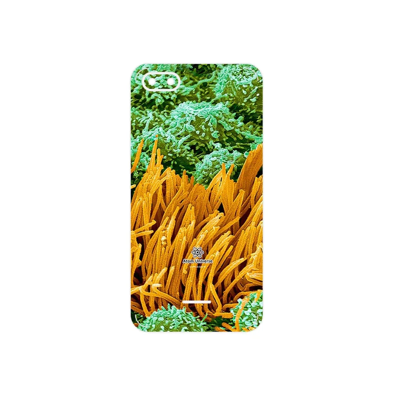 برچسب پوششی ماهوت مدل Atom Universe 6 مناسب برای گوشی موبایل شیائومی Redmi 6A
