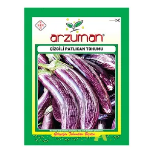 بذر بادمجان دو رنگ آرزومان کد 11574