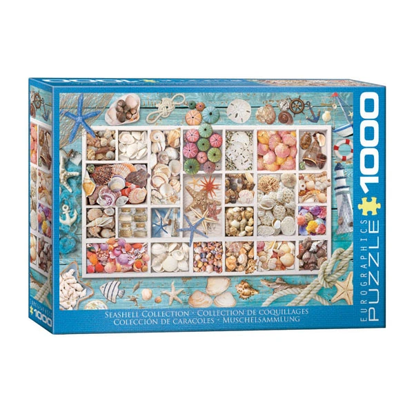 پازل 1000 تکه یوروگرافیکس پازلز مدل 5529 Seashell Collection