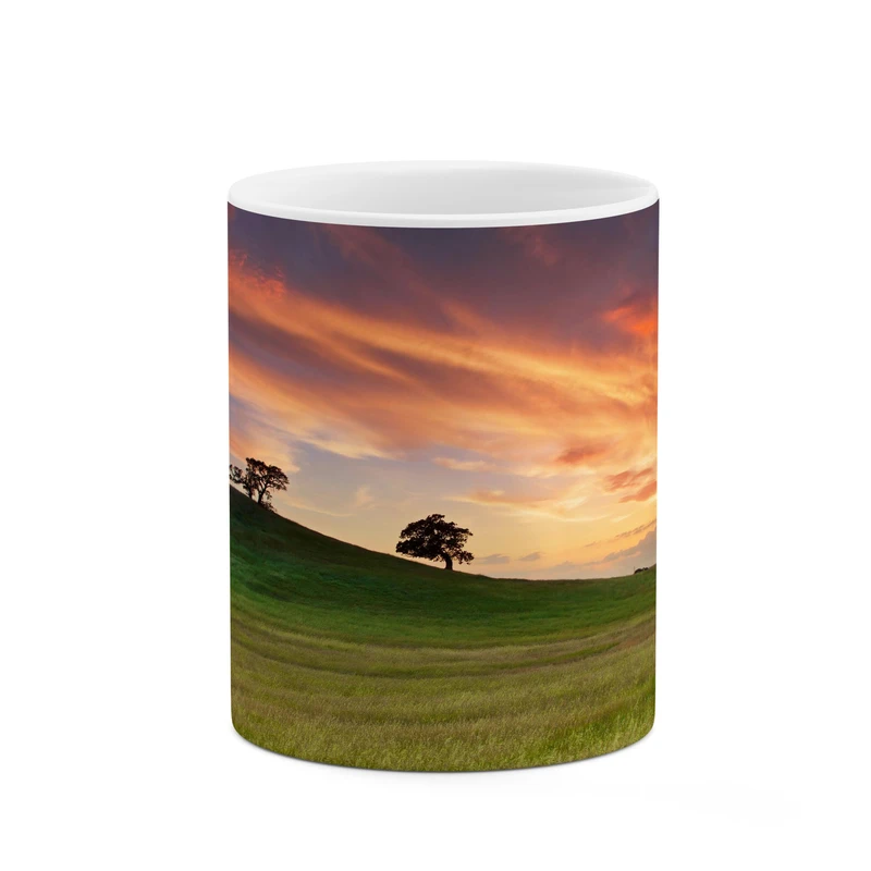 ماگ کاکتی مدل منظره کد mgh18032