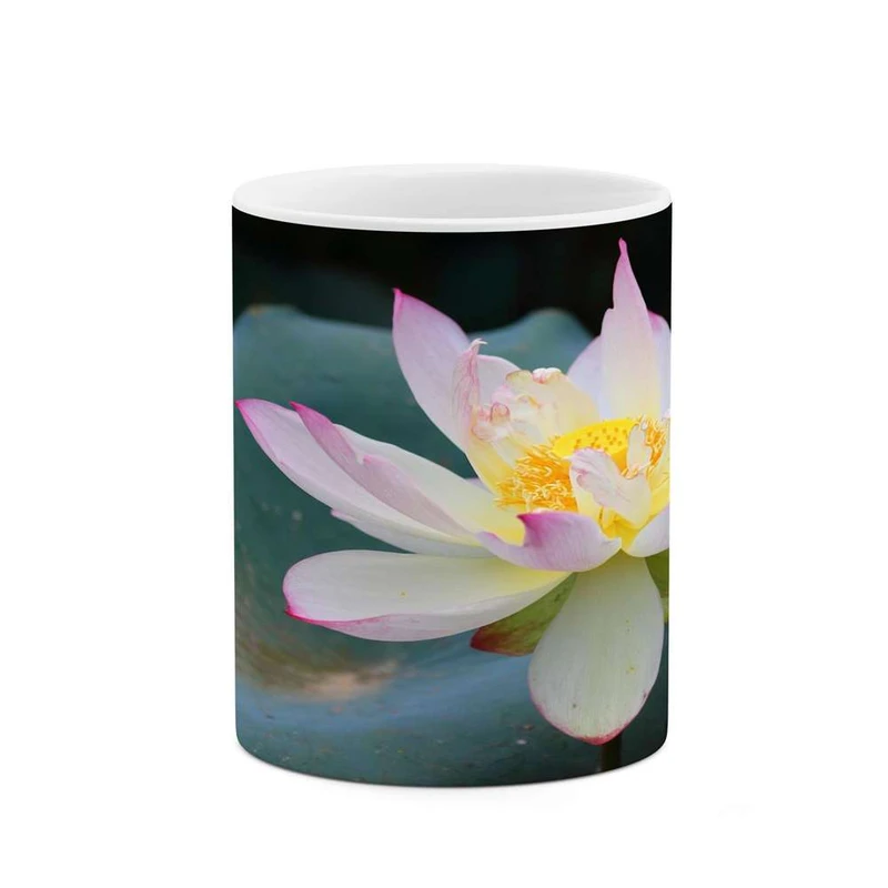 ماگ کاکتی مدل گل کد mgh16903