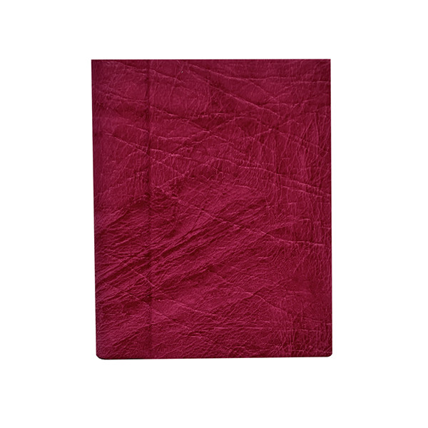 آلبوم عکس مدل مینی