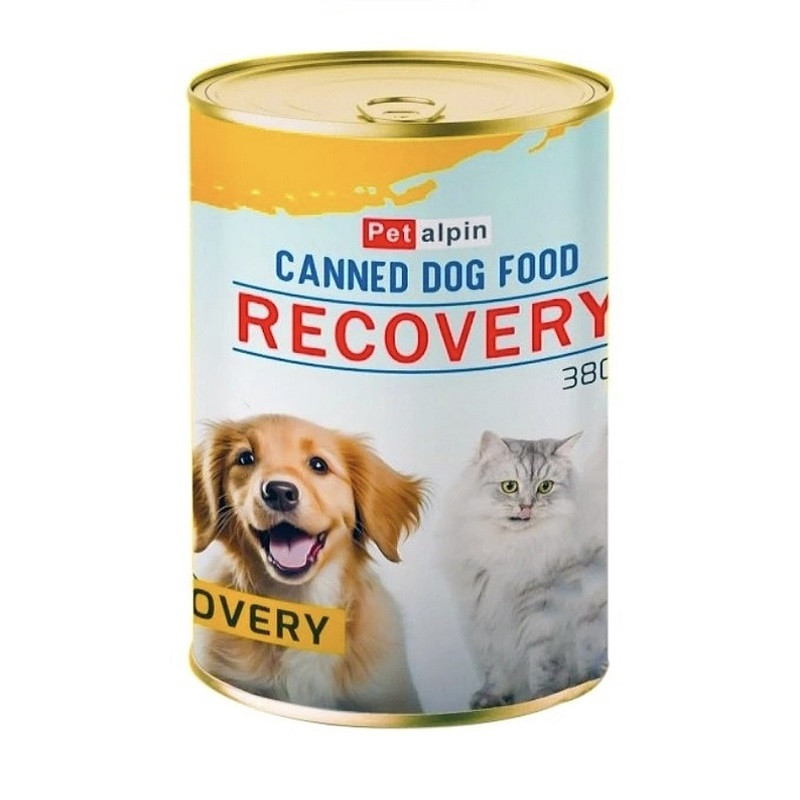 کنسرو سگ پت آلپین مدل ریکاوری وزن 380 گرم