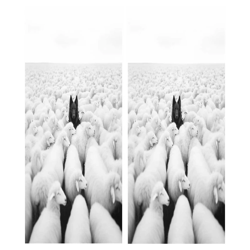  برچسب ستون خودرو طرح بره کد66 BS0 بسته دو عددی