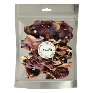 قارچ گانودرما ممتاز جالینوس - 100 گرم