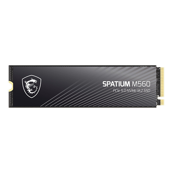 اس اس دی اینترنال PCIe 5.0 ام اس آی مدل  MSI SPATIUM M560  ظرفیت یک ترابایت