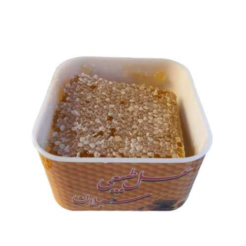 عسل گشنیز موم دار شهر طبیعت - 440 گرم
