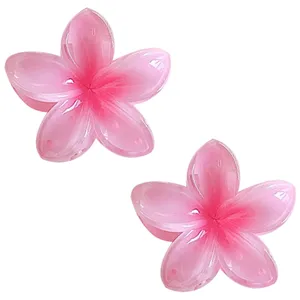 کلیپس مو زنانه مدل PRO-104 مجموعه 2 عددی