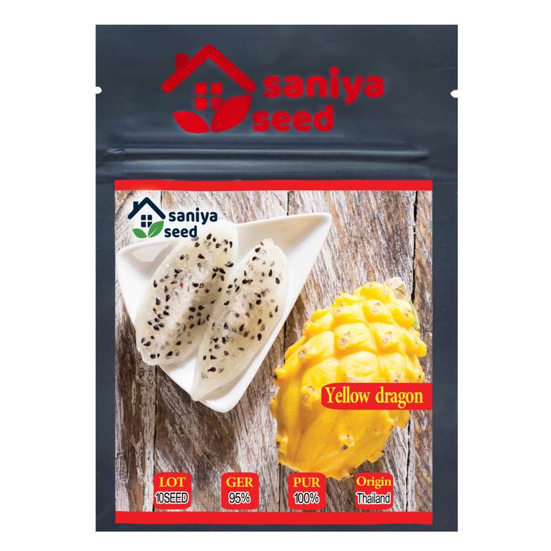 بذر میوه دراگون فروت زرد سانیا سید مدل D4