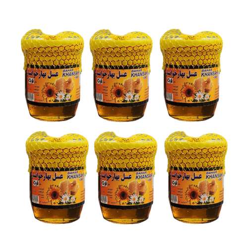 عسل بهار خوانسار - 1 کیلوگرم بسته 6 عددی