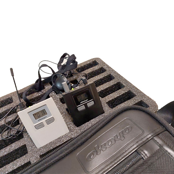 سیستم تورگاید و ترجمه همزمان 30 نفره اکایو مدل WT350   ‌