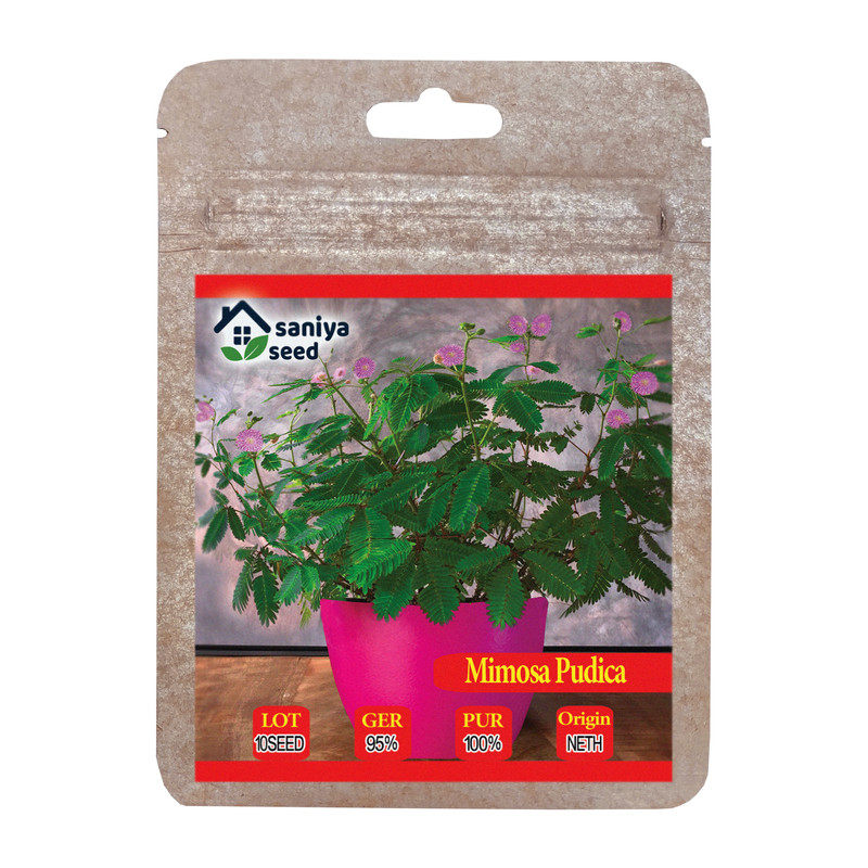 بذر گل قهر و آشتی سانیا سید مدل SS65