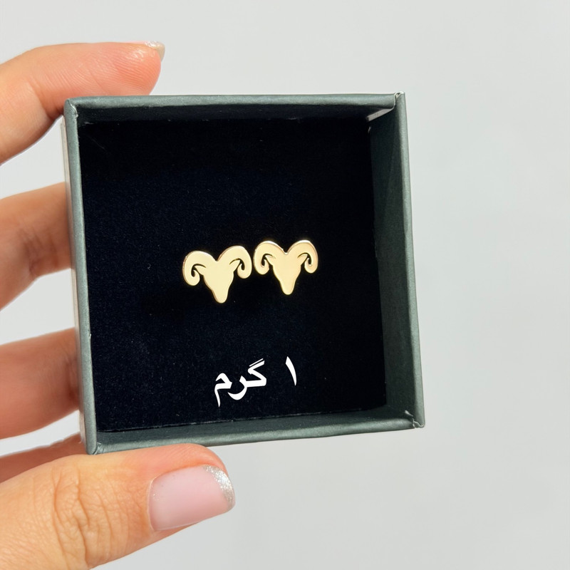 گوشواره طلا 18 عیار زنانه فرشته مدل قوچ WEL-000419   - 2