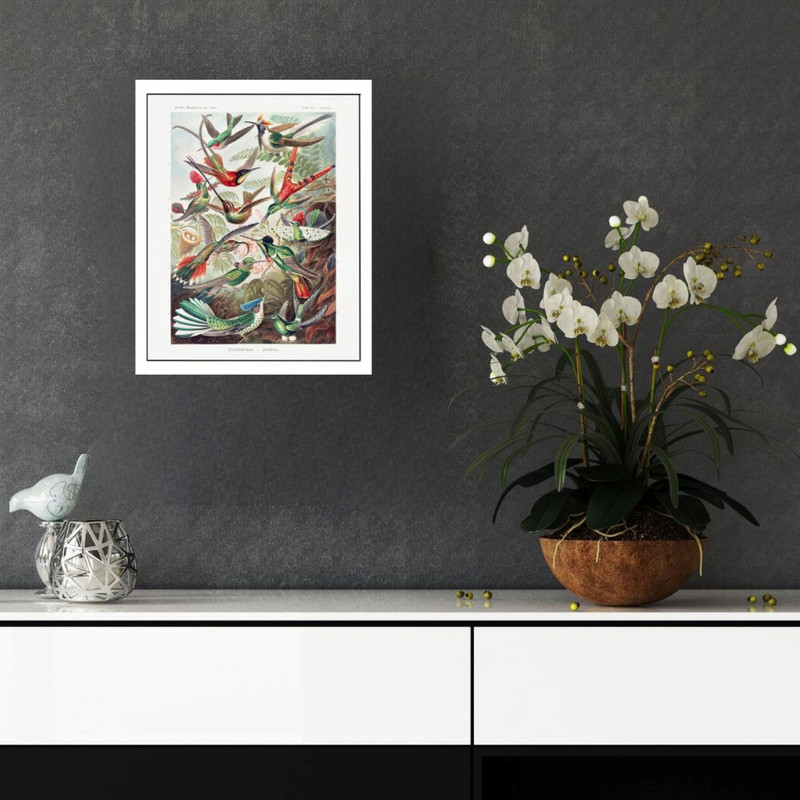 پوستر مدل پرندگان کلاغ طیور بهشتی   