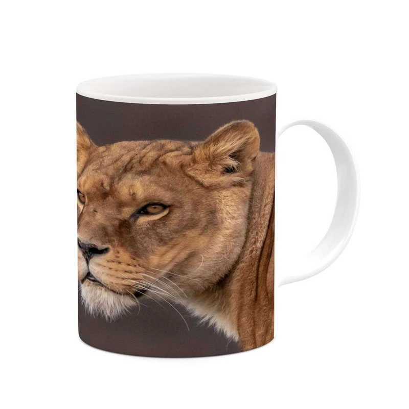 ماگ کاکتی مدل شیر کد mgh17106