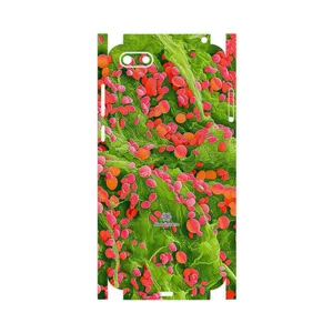 MAHOOT Atom Universe 3-FullSkin Cover Sticker for Huawei Y5 Prime 2018