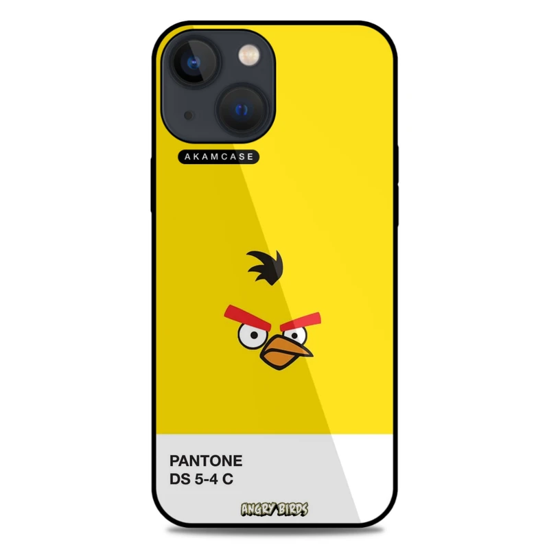 کاور آکام مدل AMC-WA13M-ANGRY BIRDS14 مناسب برای گوشی موبایل اپل iPhone 13 Mini