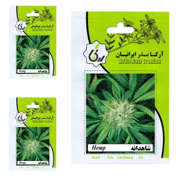بذر شاهدانه آرکا بذر ایرانیان کد 57-ARK مجموعه 3 عددی بذر شاهدانه آرکا بذر ایرانیان کد 57-ARK مجموعه 3 عددی