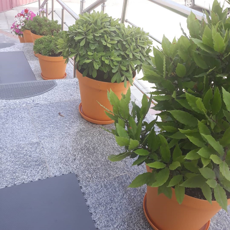 زیرگلدانی  شهرآذین مدل 1028