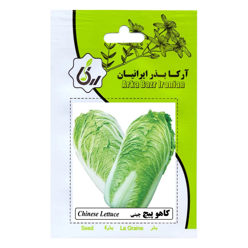 بذر کاهو پیچ چینی آرکا بذر ایرانیان مدل B87