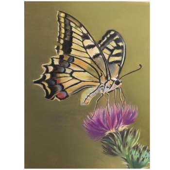 تابلو نقاشی پاستل طرح پروانه 
