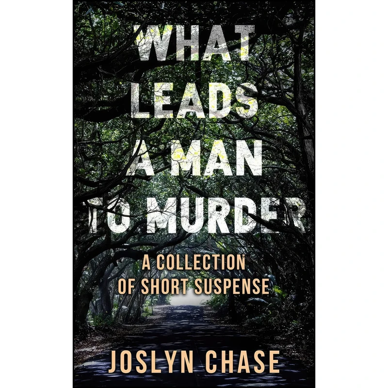 کتاب What Leads A Man To Murder اثر Joslyn Chase انتشارات تازه ها