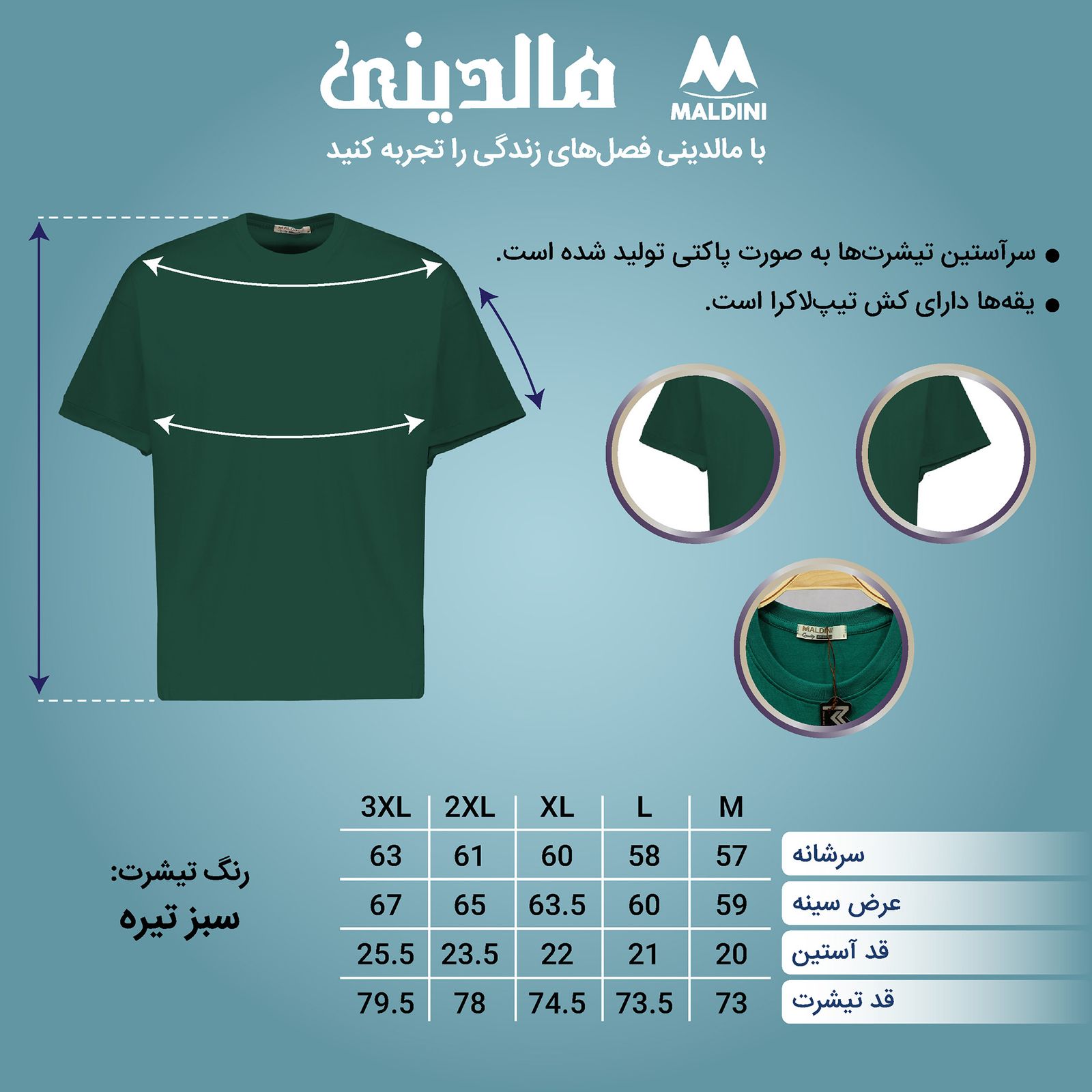 تی شرت اورسایز مردانه مالدینی مدل T-375 - - 5