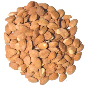 مغز هسته زردآلو فله مقدار 500 گرم