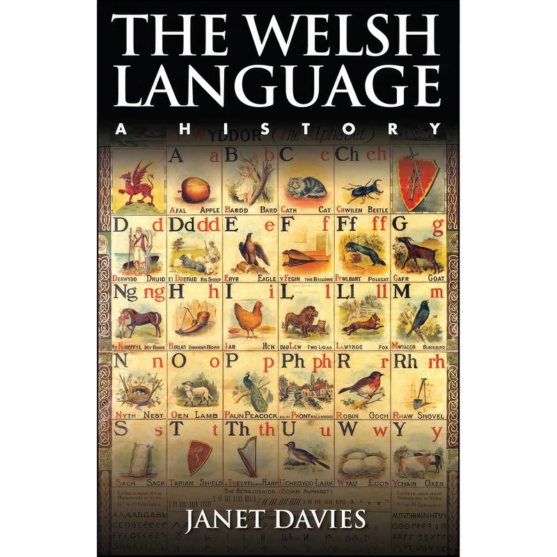 کتاب The Welsh Language اثر Janet Davies انتشارات University of Wales Press