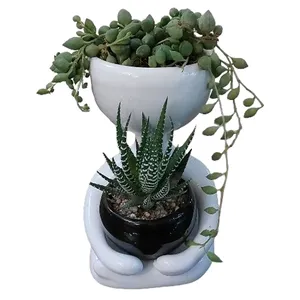 گیاه طبیعی کاکتوس مدل F-07