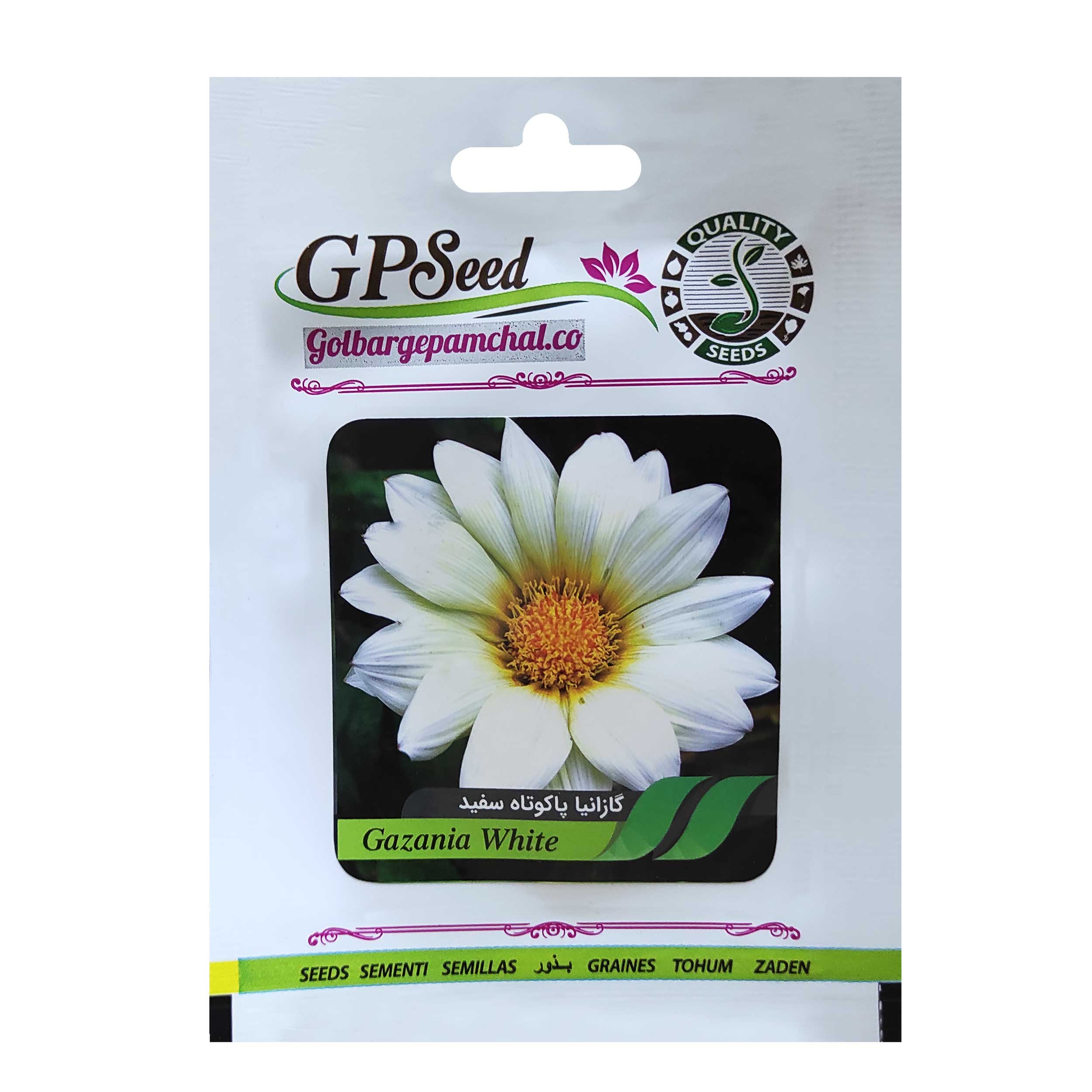 بذر گل گازانیا پاکوتاه سفید گلبرگ پامچال کد GPF-261