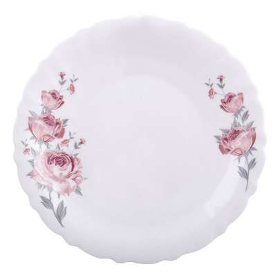 ارکوپال چه مارکی خوبه؟