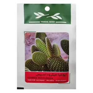 بذر کاکتوس اپونتیا میکروداسیس وانیا سید مدل V38