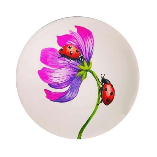 بشقاب دیوارکوب سفالی طرح کفشدوزک کد D153-S20